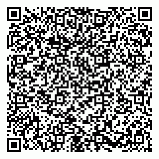 vCard 79580103131