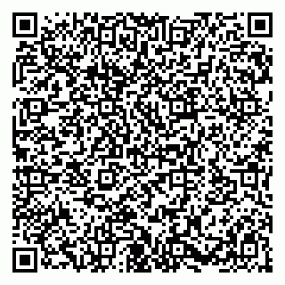 vCard 79580103133