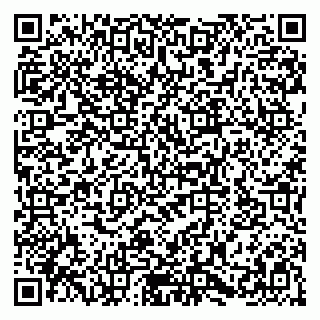 vCard 79580103291