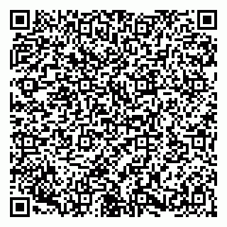 vCard 79580103294