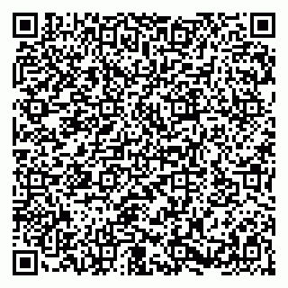 vCard 79580103411