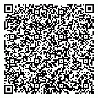 vCard 79580103873