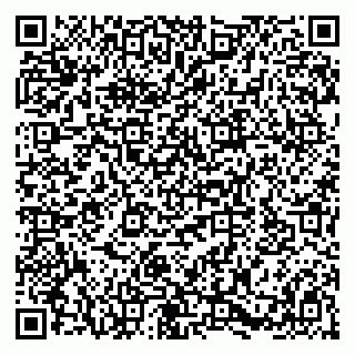 vCard 79580133602