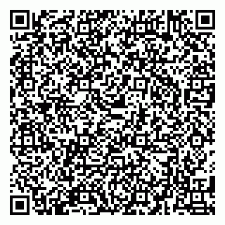 vCard 79580133603
