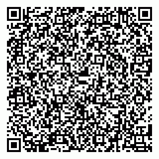 vCard 79580133621
