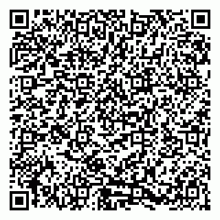 vCard 79580133629