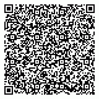 vCard 79580133631