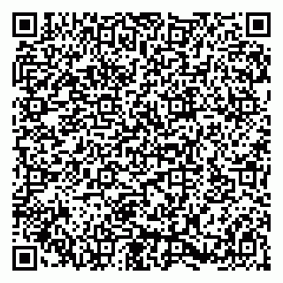 vCard 79580133703