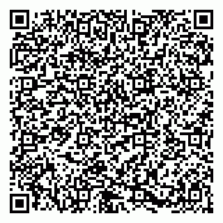 vCard 79580133704