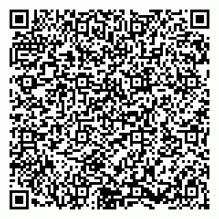 vCard 79580133733