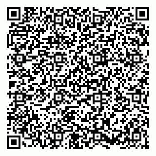 vCard 79580133837