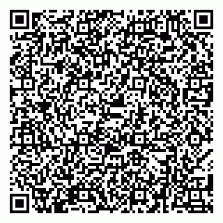 vCard 79580133875