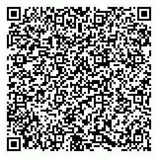 vCard 79580133882