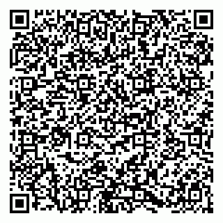 vCard 79580133889