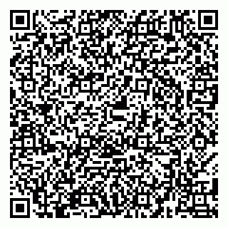 vCard 79580133897