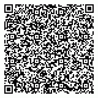 vCard 79580133900