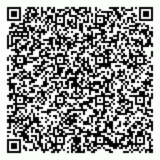 vCard 79580133919