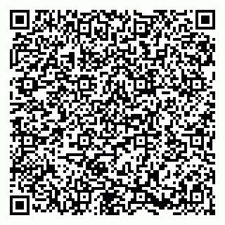 vCard 79580133921