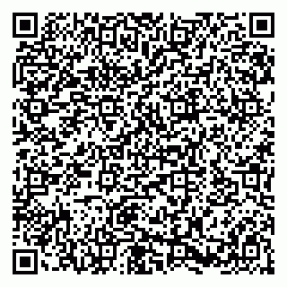 vCard 79580133923