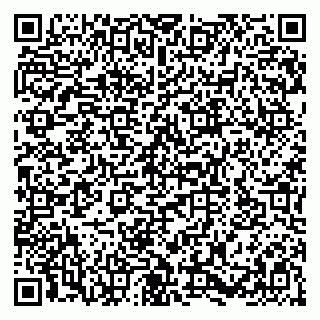 vCard 79580133931