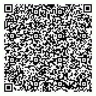 vCard 79580133937