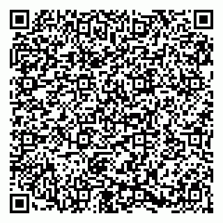 vCard 79580133969