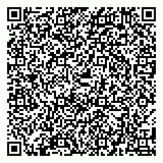 vCard 79580133981