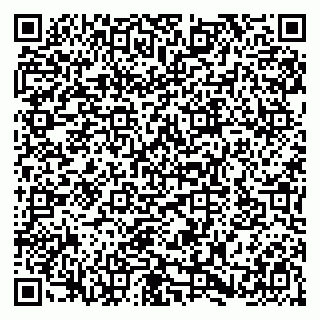 vCard 79580133989