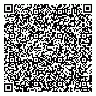 vCard 79580133996