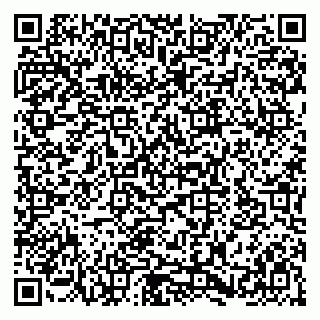 vCard 79580133997