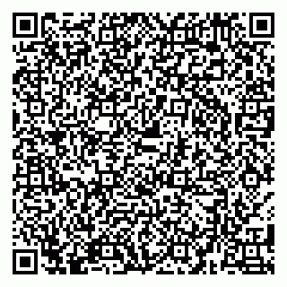 vCard 79580133999