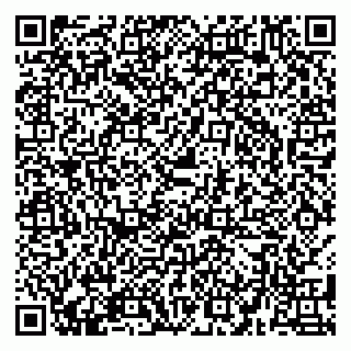 vCard 79580134997