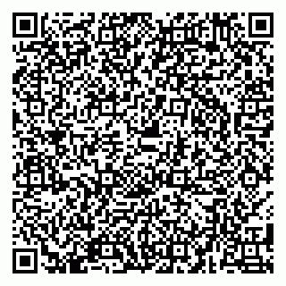 vCard 79580135011