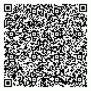 vCard 79580135211