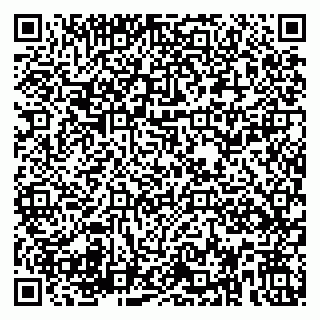 vCard 79580135217