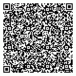 vCard 79580135297