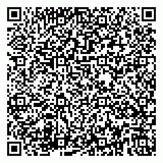 vCard 79580135300