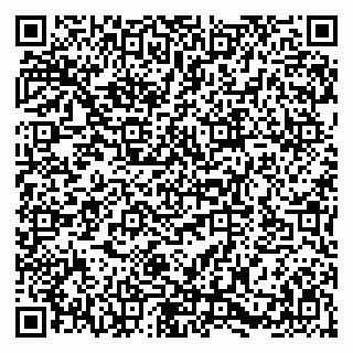 vCard 79580135305