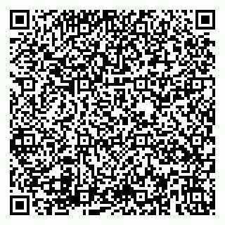 vCard 79580135333