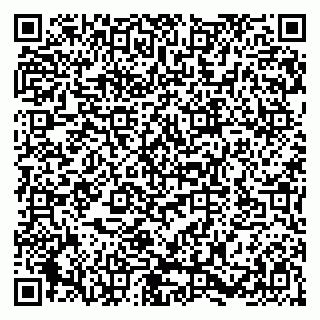vCard 79580135334
