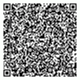vCard 79580135381