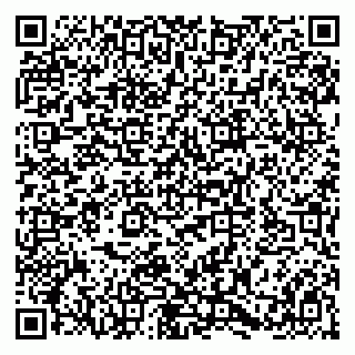 vCard 79580135383
