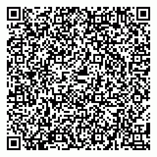 vCard 79580135411