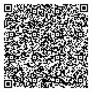 vCard 79580136313
