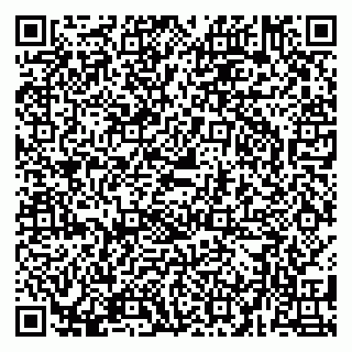 vCard 79580136413
