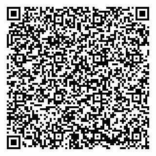 vCard 79580136834