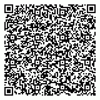 vCard 79580137028