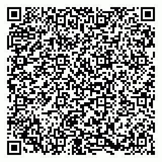 vCard 79580137074