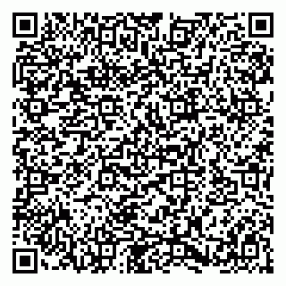 vCard 79580137083
