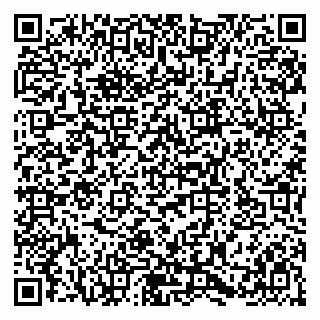 vCard 79580137087